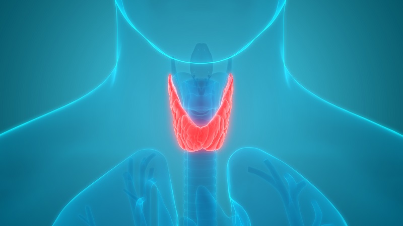 Need to check your thyroid? Maybe not