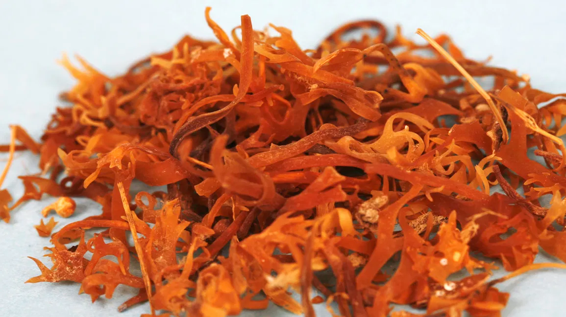 Which form is best to ingest Sea moss super food – Capsule or Gel?