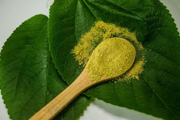 What’s Next for Kratom: Trends, Challenges, and Future Outlook