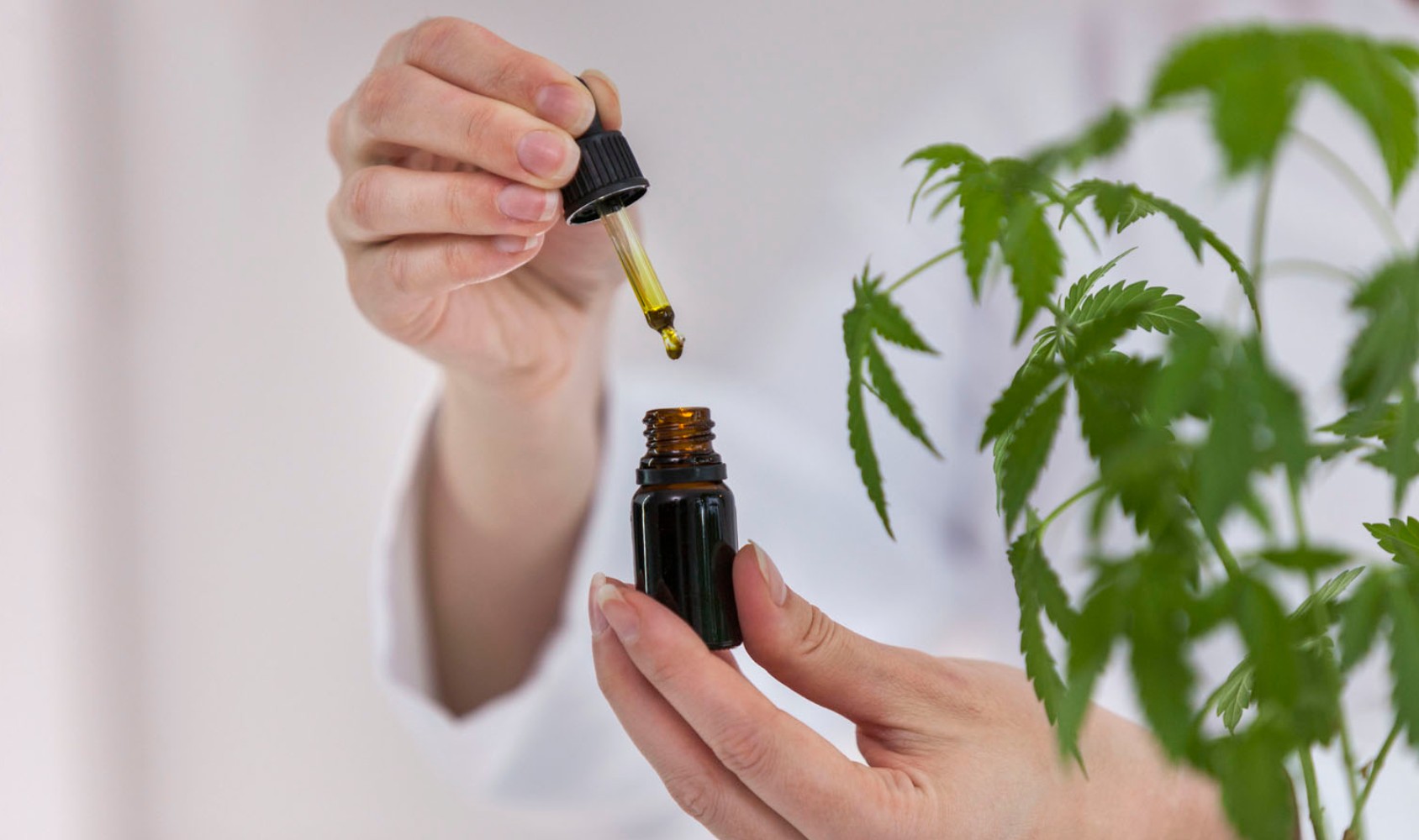 Why White Label CBD Is a Smart Entry Point for Entrepreneurs